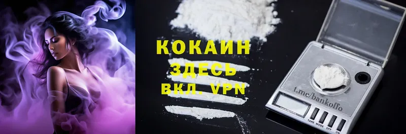 Cocaine Эквадор  дарнет шоп  MEGA онион  Киселёвск 